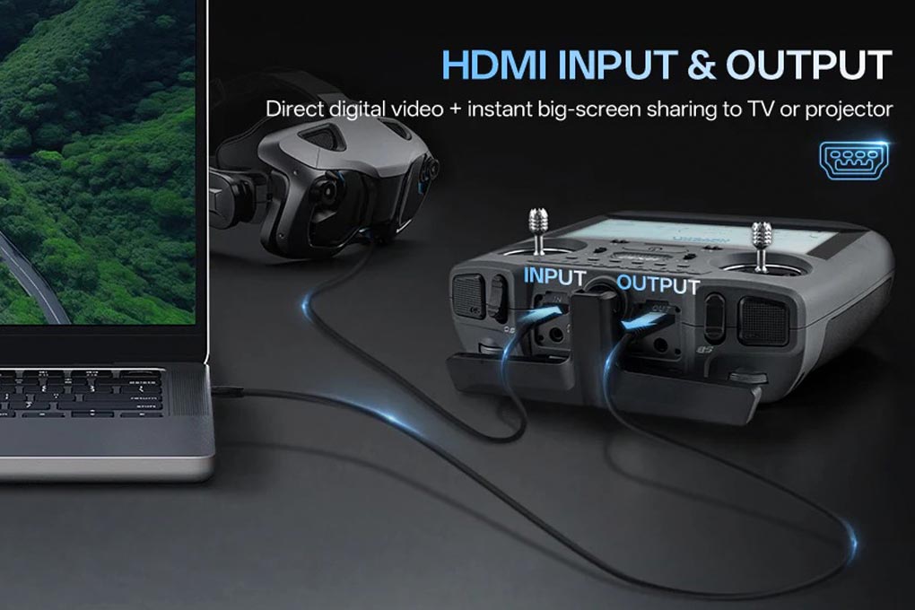 HDMI Input & Output