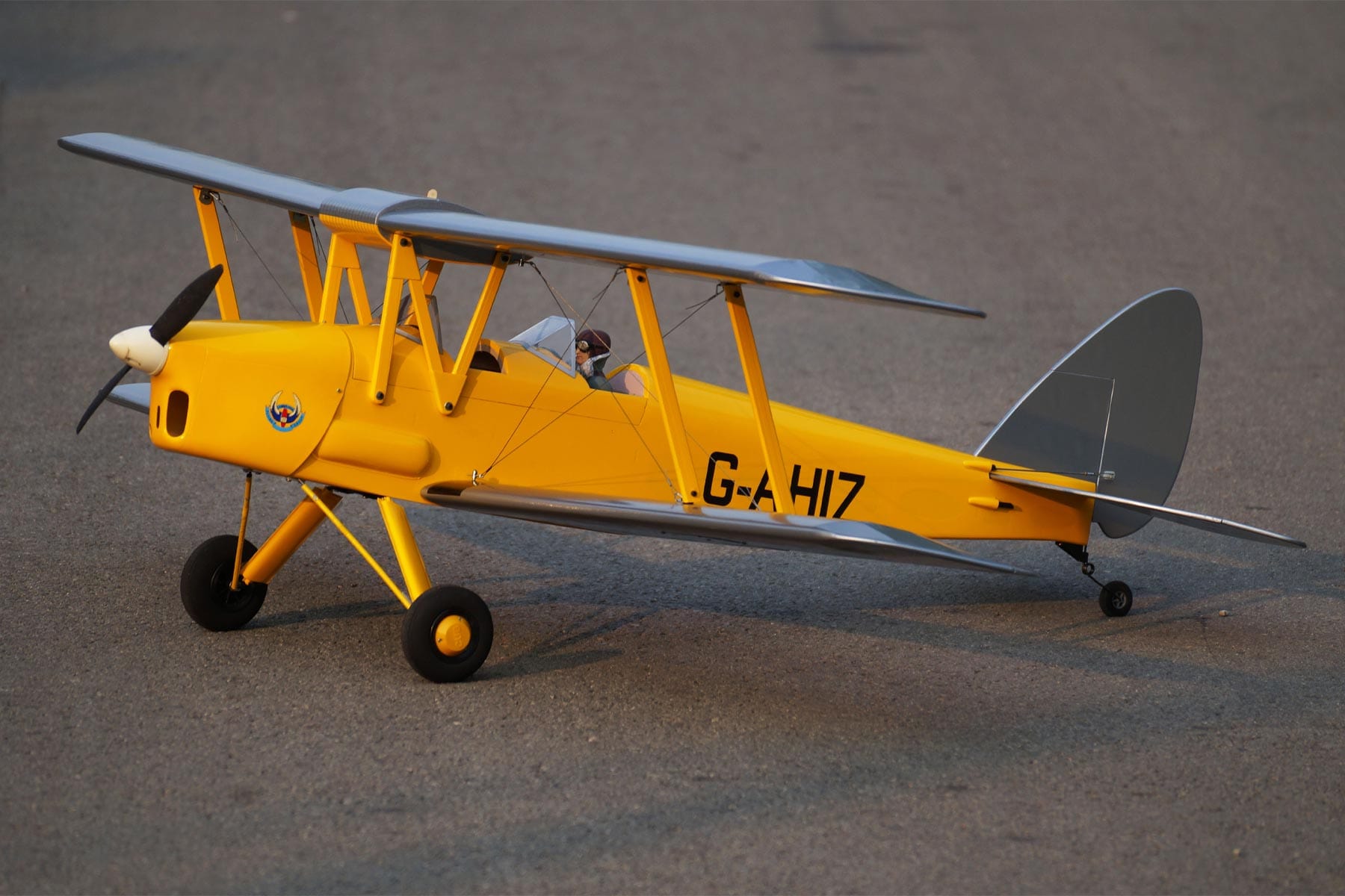 Buy Nexa DH.82 Tiger Moth Yellow-Silver 1400mm (55