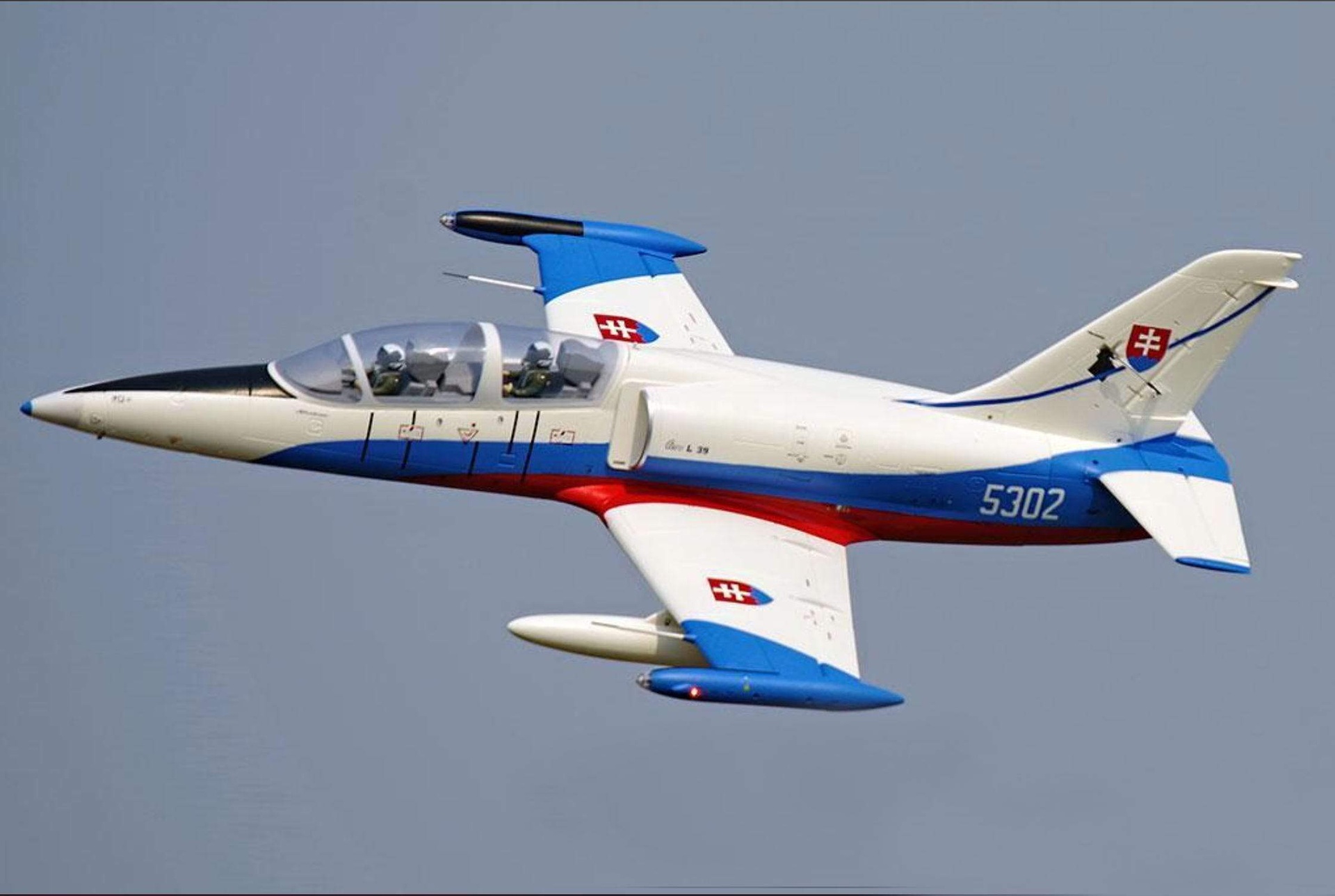 Freewing L-39 ALBATROS 1/9スケール Buy Freewing L-39 Albatros High Performance 80mm EDF Jet - PNP